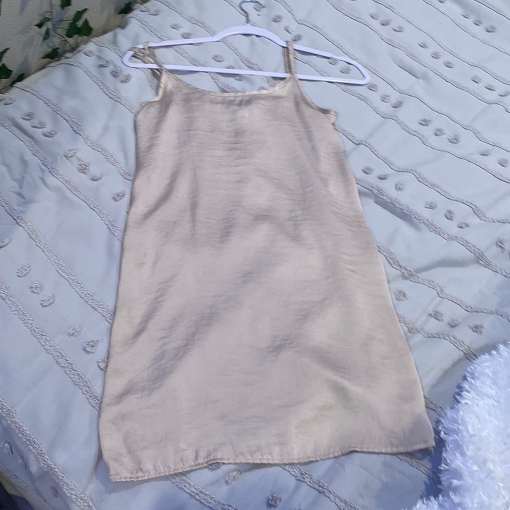 Tan Slip